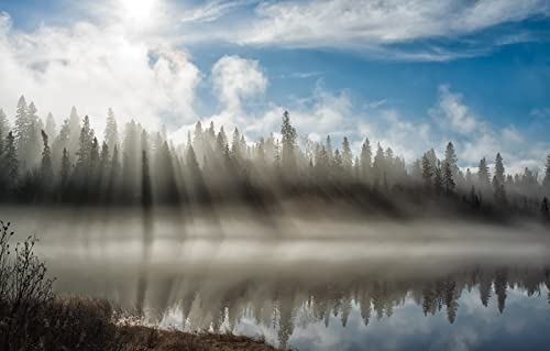 Puzzle für Erwachsene, 1000 Teile, Naturschönheit, Nebel, 50 x 70 cm von EZMLFA