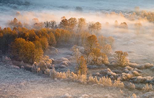 Puzzle für Erwachsene, 1000 Teile, Naturschönheit, Nebel, 50 x 70 cm von EZMLFA