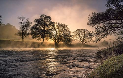 Puzzle für Erwachsene, 1000 Teile, Naturschönheit, Nebel, Fluss, 50 x 70 cm Puzzle für Erwachsene, 1000 Teile, Naturschönheit, Nebel, Fluss, 50 x 70 cm von EZMLFA