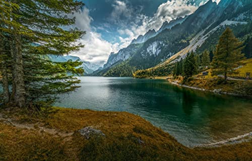 Puzzle für Erwachsene, 1000 Teile, Naturschönheit, See, Fichte, 50 x 70 cm von EZMLFA