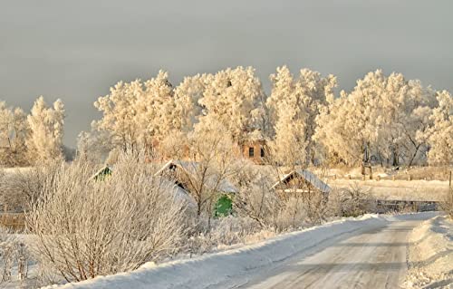 Puzzle für Erwachsene, 1000 Teile, anspruchsvolles Puzzle für Familiengeburtstagsfeiern, Lernspiele, Naturlandschaft, Frost, Tver-Region, 50 x 70 cm Puzzle für Erwachsene, 1000 Teile, anspruchsvolles Puzzle für Familiengeburtstagsfeiern, Lernspiele, Naturlandschaft, Frost, Tver-Region, 50 x 70 cm von EZMLFA