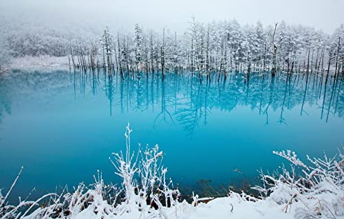 Puzzle für Erwachsene, 1000 Teile, anspruchsvolles Puzzle für Familiengeburtstagsfeiern, Lernspiele, Naturlandschaft, See, Japan, Teich, Hokkaido, Kent Shiraishi, 38 x 52 cm von EZMLFA