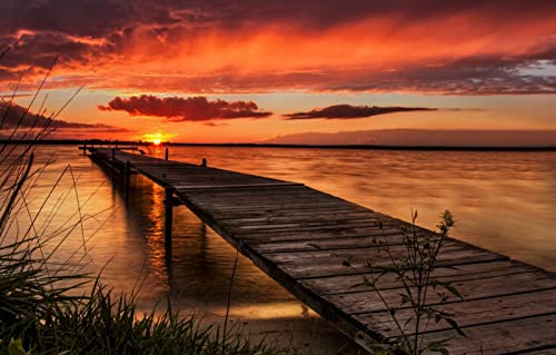 Puzzle für Erwachsene, 1000 Teile, anspruchsvolles Puzzle für Familiengeburtstagsfeiern, Lernspiele, Naturlandschaft, Sonnenuntergang, Brücke, Fluss, 50 x 70 cm von EZMLFA