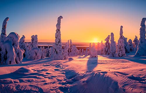 Puzzle für Erwachsene, 1000 Teile, anspruchsvolles Puzzle für Familiengeburtstagsfeiern, Lernspiele, Naturlandschaft, Sonnenuntergang, Finnland, 50 x 70 cm von EZMLFA