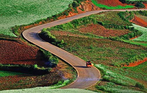 Puzzle für Erwachsene, 1000 Teile, anspruchsvolles Puzzle für Familiengeburtstagsfeiern, Lernspiele, Naturlandschaft, Straße, China, Büsche, Yunnan, 50 x 70 cm von EZMLFA