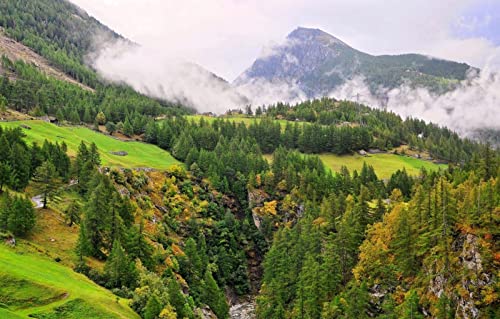 Puzzle für Erwachsene, 1000 Teile, anspruchsvolles Spiel für die ganze Familie, für Frauen, Naturlandschaft, Straße, Berg, 50 x 70 cm Puzzle für Erwachsene, 1000 Teile, anspruchsvolles Spiel für die ganze Familie, für Frauen, Naturlandschaft, Straße, Berg, 50 x 70 cm von EZMLFA