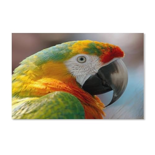 Puzzle für Erwachsene, 1000 Teile, für Erwachsene und Kinder, Papagei mit bunten Federn, Kunstwerk, geistiges Lernspielzeug, Geschenke, 50 x 70 cm Puzzle für Erwachsene, 1000 Teile, für Erwachsene und Kinder, Papagei mit bunten Federn, Kunstwerk, geistiges Lernspielzeug, Geschenke, 50 x 70 cm von EZMLFA