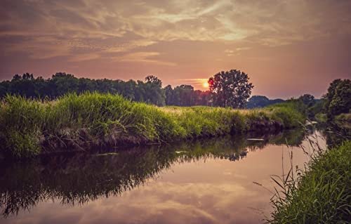 Puzzle für Erwachsene, 1000-teiliges Puzzle, anspruchsvolles Spiel für alle, für Frauen, Geschenke für Männer, Basteln für Kinder, Naturlandschaft, Sonnenuntergang, Fluss, Küste, 50 x 70 cm Puzzle für Erwachsene, 1000-teiliges Puzzle, anspruchsvolles Spiel für alle, für Frauen, Geschenke für Männer, Basteln für Kinder, Naturlandschaft, Sonnenuntergang, Fluss, Küste, 50 x 70 cm von EZMLFA
