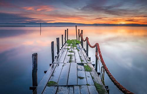 Puzzle für Erwachsene, 1000-teiliges Puzzle, anspruchsvolles Spiel für alle, für Frauen, Geschenke für Männer, Erwachsene und Kinder, Malen, Naturlandschaft, Sonnenuntergang, Brücke, 50 x 70 cm Puzzle für Erwachsene, 1000-teiliges Puzzle, anspruchsvolles Spiel für alle, für Frauen, Geschenke für Männer, Erwachsene und Kinder, Malen, Naturlandschaft, Sonnenuntergang, Brücke, 50 x 70 cm von EZMLFA