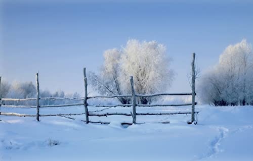 Puzzle für Erwachsene, 2000 Teile, Geschenkideen für Erwachsene, Naturlandschaft, Felder, Morgen, 70 x 100 cm Puzzle für Erwachsene, 2000 Teile, Geschenkideen für Erwachsene, Naturlandschaft, Felder, Morgen, 70 x 100 cm von EZMLFA