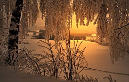 Puzzle für Erwachsene, 2000 Teile, Geschenkideen für Erwachsene, Naturlandschaft, Frost, 70 x 100 cm Puzzle für Erwachsene, 2000 Teile, Geschenkideen für Erwachsene, Naturlandschaft, Frost, 70 x 100 cm von EZMLFA