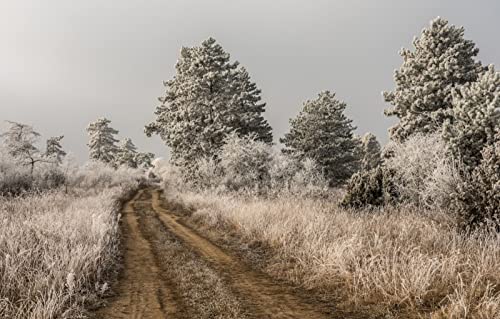 Puzzle für Erwachsene, 2000 Teile, Geschenkideen für Erwachsene, Naturlandschaft, Frost, Straße, 70 x 100 cm von EZMLFA