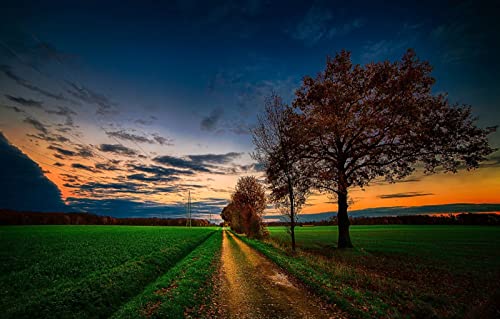 Puzzle für Erwachsene, 2000 Teile, Geschenkideen für Erwachsene, Naturlandschaft, Straße, Feld, 70 x 100 cm Puzzle für Erwachsene, 2000 Teile, Geschenkideen für Erwachsene, Naturlandschaft, Straße, Feld, 70 x 100 cm von EZMLFA