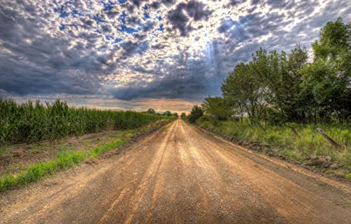 Puzzle für Erwachsene, 2000 Teile, Geschenkideen für Erwachsene, Naturlandschaft, Straße, Feld, Mais, 70 x 100 cm Puzzle für Erwachsene, 2000 Teile, Geschenkideen für Erwachsene, Naturlandschaft, Straße, Feld, Mais, 70 x 100 cm von EZMLFA