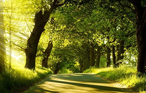 Puzzle für Erwachsene, 2000 Teile, Geschenkideen für Erwachsene, Naturlandschaft, Straße, Wald, 70 x 100 cm Puzzle für Erwachsene, 2000 Teile, Geschenkideen für Erwachsene, Naturlandschaft, Straße, Wald, 70 x 100 cm von EZMLFA