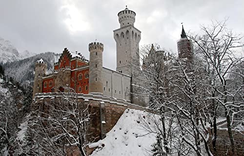 Puzzle für Erwachsene, 2000 Teile, Geschenkideen für Erwachsene, Naturlandschaft, Wald, Burg, Berg, Deutschland, 70 x 100 cm Puzzle für Erwachsene, 2000 Teile, Geschenkideen für Erwachsene, Naturlandschaft, Wald, Burg, Berg, Deutschland, 70 x 100 cm von EZMLFA