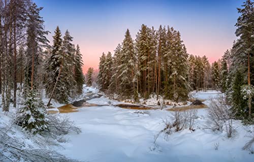 Puzzle für Erwachsene, 2000 Teile, Geschenkideen für Erwachsene, Naturlandschaft, Wald, Fluss, 70 x 100 cm Puzzle für Erwachsene, 2000 Teile, Geschenkideen für Erwachsene, Naturlandschaft, Wald, Fluss, 70 x 100 cm von EZMLFA