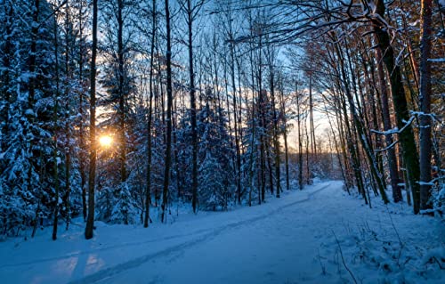 Puzzle für Erwachsene, 2000 Teile, Geschenkideen für Erwachsene, Naturlandschaft, Wald, Sonnenuntergang, Spur, 70 x 100 cm Puzzle für Erwachsene, 2000 Teile, Geschenkideen für Erwachsene, Naturlandschaft, Wald, Sonnenuntergang, Spur, 70 x 100 cm von EZMLFA