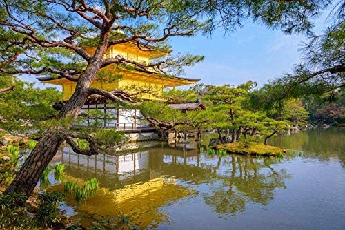 Puzzle für Erwachsene, 2000 Teile, Goldener Pavillon in Kyoto, Japan, Puzzlespiel, Kunstwerk für Erwachsene, Jugendliche, hochauflösendes Druck-Bodenpuzzle, Mehrfarbig, 70 x 100 cm Puzzle für Erwachsene, 2000 Teile, Goldener Pavillon in Kyoto, Japan, Puzzlespiel, Kunstwerk für Erwachsene, Jugendliche, hochauflösendes Druck-Bodenpuzzle, Mehrfarbig, 70 x 100 cm von EZMLFA