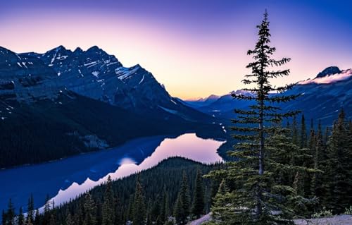 Puzzle für Erwachsene, 2000 Teile, Kanada, Peyto Lake Park, Banff, Puzzle, 70 x 100 cm von EZMLFA