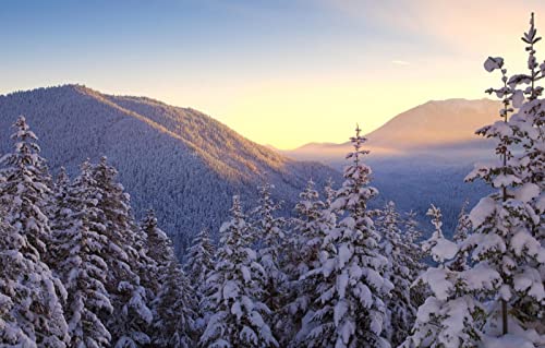 Puzzle für Erwachsene, 2000 Teile, Lernspiele, Heimdekoration, Geschenke für Männer, Naturlandschaft, Berge, 70 x 100 cm von EZMLFA