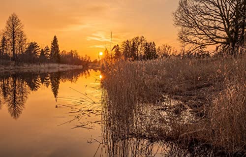 Puzzle für Erwachsene, 2000 Teile, Lernspiele, Heimdekoration, Geschenke für Männer, Naturlandschaft, Sonnenuntergang, See, 70 x 100 cm von EZMLFA