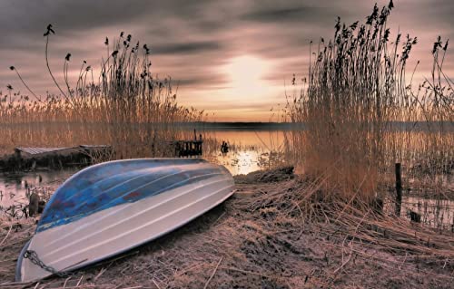 Puzzle für Erwachsene, 2000 Teile, Lernspiele, Heimdekoration, Geschenke für Männer, Naturlandschaft, Sonnenuntergang, See, Schilf, 70 x 100 cm Puzzle für Erwachsene, 2000 Teile, Lernspiele, Heimdekoration, Geschenke für Männer, Naturlandschaft, Sonnenuntergang, See, Schilf, 70 x 100 cm von EZMLFA