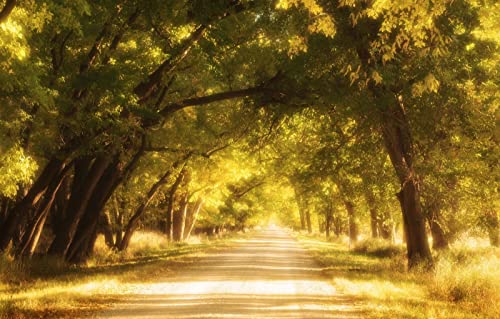 Puzzle für Erwachsene, 2000 Teile, Lernspiele, Heimdekoration, Geschenke für Männer, Naturlandschaft, Straße, Goldene Straße, 70 x 100 cm von EZMLFA