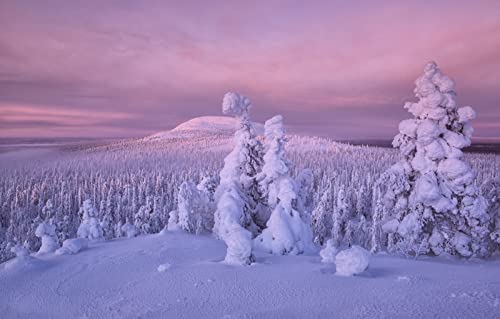 Puzzle für Erwachsene, 2000 Teile, Lernspiele, Heimdekoration, Geschenke für Männer, Naturlandschaft, Wald, Finnland, 70 x 100 cm Puzzle für Erwachsene, 2000 Teile, Lernspiele, Heimdekoration, Geschenke für Männer, Naturlandschaft, Wald, Finnland, 70 x 100 cm von EZMLFA