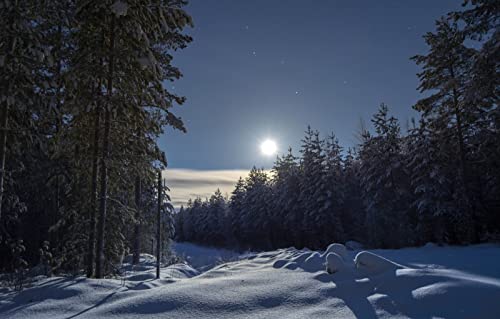 Puzzle für Erwachsene, 2000 Teile, Lernspiele, Heimdekoration, Geschenke für Männer, Naturlandschaft, Wald, Schneeverwehungen, Finnland, 70 x 100 cm Puzzle für Erwachsene, 2000 Teile, Lernspiele, Heimdekoration, Geschenke für Männer, Naturlandschaft, Wald, Schneeverwehungen, Finnland, 70 x 100 cm von EZMLFA