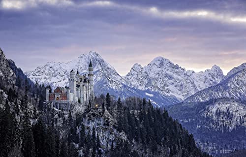 Puzzle für Erwachsene, 2000 Teile, Lernspiele, Heimdekoration, Naturlandschaft, Berge, Burgen, Deutschland, Schloss Neuschwanstein, 70 x 100 cm Puzzle für Erwachsene, 2000 Teile, Lernspiele, Heimdekoration, Naturlandschaft, Berge, Burgen, Deutschland, Schloss Neuschwanstein, 70 x 100 cm von EZMLFA