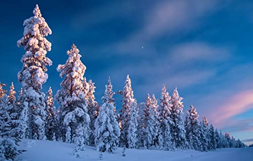 Puzzle für Erwachsene, 2000 Teile, Puzzle für Erwachsene, Geschenkideen, Naturlandschaft, Wald, Finnland, 70 x 100 cm von EZMLFA