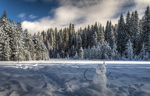 Puzzle für Erwachsene, 2000 Teile, Puzzle für Erwachsene, Geschenkideen, Naturlandschaft, Wald, Kalifornien, Schneemann, Kalifornien, 70 x 100 cm von EZMLFA