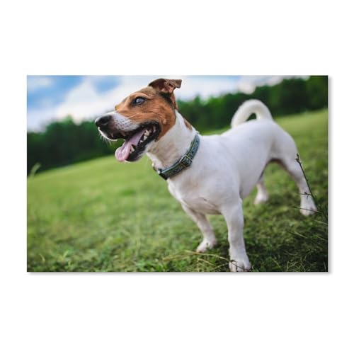 Puzzle für Erwachsene, 2000 Teile, Tiere, Hunde, schwieriges Puzzle, perfektes pädagogisches Geschenk für Jungen und Mädchen, 70 x 100 cm Puzzle für Erwachsene, 2000 Teile, Tiere, Hunde, schwieriges Puzzle, perfektes pädagogisches Geschenk für Jungen und Mädchen, 70 x 100 cm von EZMLFA