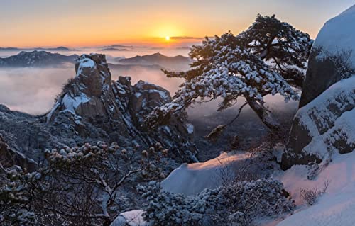 Puzzle für Erwachsene, 2000 Teile, anspruchsvolles Puzzle für Familiengeburtstagsfeiern, Lernspiele, Naturlandschaft, Berg, Sonnenaufgang, Korea, 70 x 100 cm Puzzle für Erwachsene, 2000 Teile, anspruchsvolles Puzzle für Familiengeburtstagsfeiern, Lernspiele, Naturlandschaft, Berg, Sonnenaufgang, Korea, 70 x 100 cm von EZMLFA