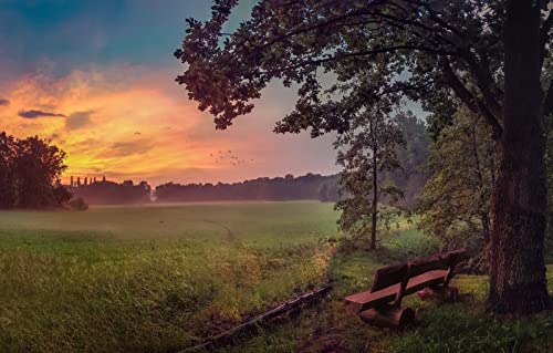 Puzzle für Erwachsene, 2000 Teile, anspruchsvolles Puzzle für Familiengeburtstagsfeiern, Lernspiele, Naturlandschaft, Sonnenuntergang, Bank, 70 x 100 cm Puzzle für Erwachsene, 2000 Teile, anspruchsvolles Puzzle für Familiengeburtstagsfeiern, Lernspiele, Naturlandschaft, Sonnenuntergang, Bank, 70 x 100 cm von EZMLFA