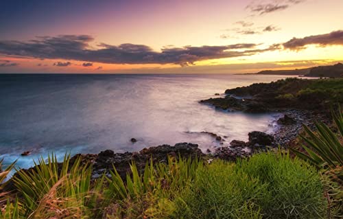 Puzzle für Erwachsene, 2000 Teile, anspruchsvolles Puzzle für Familiengeburtstagsfeiern, Lernspiele, Naturlandschaft, Sonnenuntergang, Ozean, Küste, Hawaii, 70 x 100 cm Puzzle für Erwachsene, 2000 Teile, anspruchsvolles Puzzle für Familiengeburtstagsfeiern, Lernspiele, Naturlandschaft, Sonnenuntergang, Ozean, Küste, Hawaii, 70 x 100 cm von EZMLFA