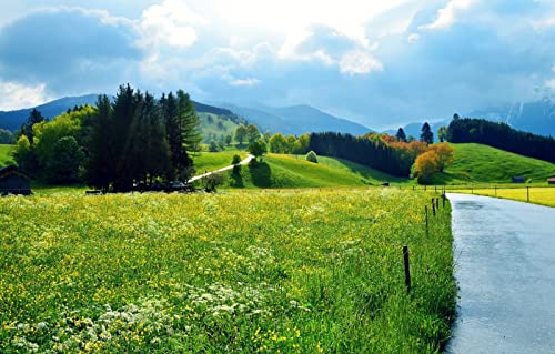 Puzzle für Erwachsene, 2000 Teile, anspruchsvolles Puzzle für Familiengeburtstagsfeiern, Lernspiele, Naturlandschaft, Straße, Feld, 70 x 100 cm Puzzle für Erwachsene, 2000 Teile, anspruchsvolles Puzzle für Familiengeburtstagsfeiern, Lernspiele, Naturlandschaft, Straße, Feld, 70 x 100 cm von EZMLFA