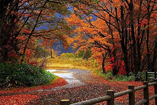 Puzzle für Erwachsene, 2000 Teile für Erwachsene, Herbstblätter, Gras, Natur,-Montage, Dekoration für Zuhause, Spielzeug, Spiel, Geschenk 70x100CM von EZMLFA