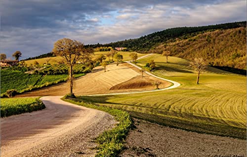 Puzzle für Erwachsene, 2000-teiliges Puzzle, anspruchsvolles Spiel für die ganze Familie, für Frauen, Geschenke für Männer, Naturlandschaft, Straße, Hügel, Italien, Kampanien, 70 x 100 cm Puzzle für Erwachsene, 2000-teiliges Puzzle, anspruchsvolles Spiel für die ganze Familie, für Frauen, Geschenke für Männer, Naturlandschaft, Straße, Hügel, Italien, Kampanien, 70 x 100 cm von EZMLFA