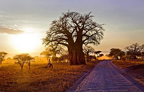 Puzzle für Erwachsene 1000, Puzzles für Erwachsene, anspruchsvolle Puzzles, Geschenke für Männer, Erwachsene, Basteln, Naturlandschaft, Straße, Morgen, Afrika, 38 x 52 cm Puzzle für Erwachsene 1000, Puzzles für Erwachsene, anspruchsvolle Puzzles, Geschenke für Männer, Erwachsene, Basteln, Naturlandschaft, Straße, Morgen, Afrika, 38 x 52 cm von EZMLFA