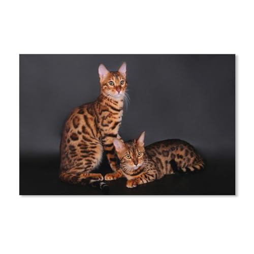 Puzzle für Erwachsene 1000 Teile, Bengalkatze, klassisches Puzzle für Teenager, Jungen und Mädchen, Puzzles für DIY, intellektuelles Lernspiel, Geschenk, Heimdekoration, 38 x 52 cm, 52 x 38 cm Puzzle für Erwachsene 1000 Teile, Bengalkatze, klassisches Puzzle für Teenager, Jungen und Mädchen, Puzzles für DIY, intellektuelles Lernspiel, Geschenk, Heimdekoration, 38 x 52 cm, 52 x 38 cm von EZMLFA