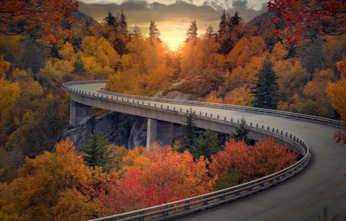 Puzzle für Erwachsene 1000 Teile, Herbstwald-Autobahnbrücke, Puzzle 50 x 70 cm von EZMLFA