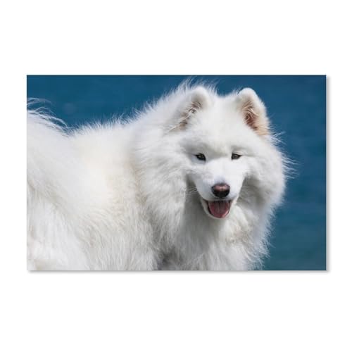 Puzzle für Erwachsene 1000 Teile, Samojede, klassisches Puzzle für Teenager, Jungen und Mädchen, Puzzles zum Selbermachen, intellektuelles Lernspiel, Geschenk, Heimdekoration, 38 x 52 cm, 38 x 26 cm Puzzle für Erwachsene 1000 Teile, Samojede, klassisches Puzzle für Teenager, Jungen und Mädchen, Puzzles zum Selbermachen, intellektuelles Lernspiel, Geschenk, Heimdekoration, 38 x 52 cm, 38 x 26 cm von EZMLFA