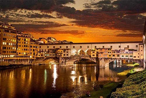 Puzzle für Erwachsene 1000 Teile - Nacht Venedig Architektur Lichter Alte Brücke - Kinderpuzzle Spielzeug Lernpuzzle 26x38CM von EZMLFA