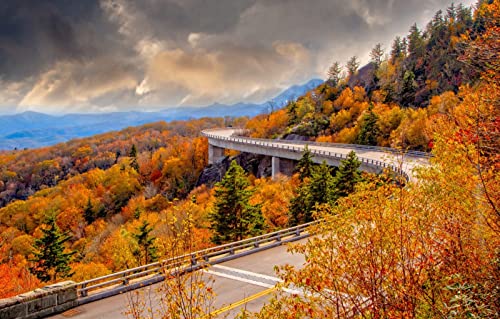 Puzzle für Erwachsene 1000 Teile Puzzle für Erwachsene Geschenkideen Naturlandschaft, Straße, Berg, Brücke, USA, Wald 50x70CM von EZMLFA