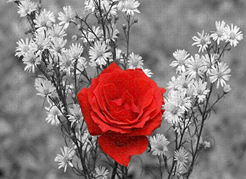 Puzzle für Erwachsene 1000 Teile Rotes Rosenfest Puzzle Kinderspielzeug 38x26CM von EZMLFA