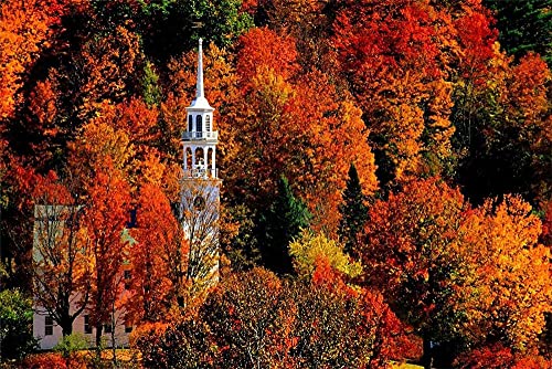 Puzzle für Erwachsene 1000 Teile für Erwachsene, Kirche Strafford Vermontmontage Dekoration für das Zuhause Spielzeug Spiel Geschenk 50x70CM von EZMLFA