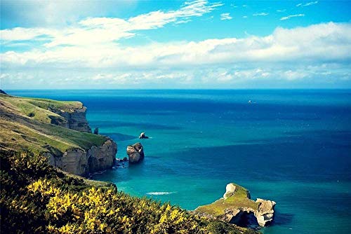 Puzzle für Erwachsene 2000 Teile - Himmel, Ozean, Strand, Felsen - Kinderpuzzle, Spielzeug, Lernpuzzle, 70 x 100 cm Puzzle für Erwachsene 2000 Teile - Himmel, Ozean, Strand, Felsen - Kinderpuzzle, Spielzeug, Lernpuzzle, 70 x 100 cm von EZMLFA