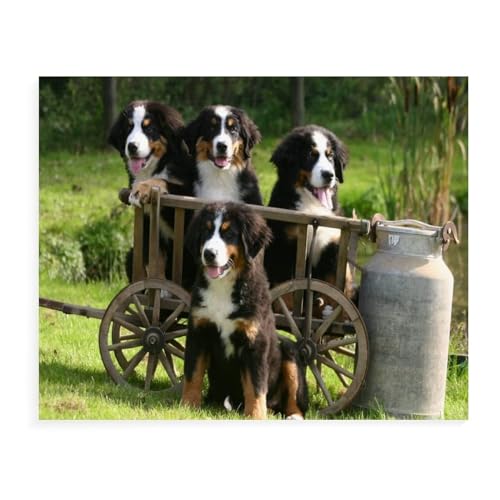 Puzzle für Erwachsene und Kinder, 1000 Teile, Berner Sennenhund, Lernspielzeug, Spiel, Familiendekoration, 38 x 52 cm, 38 x 26 cm Puzzle für Erwachsene und Kinder, 1000 Teile, Berner Sennenhund, Lernspielzeug, Spiel, Familiendekoration, 38 x 52 cm, 38 x 26 cm von EZMLFA